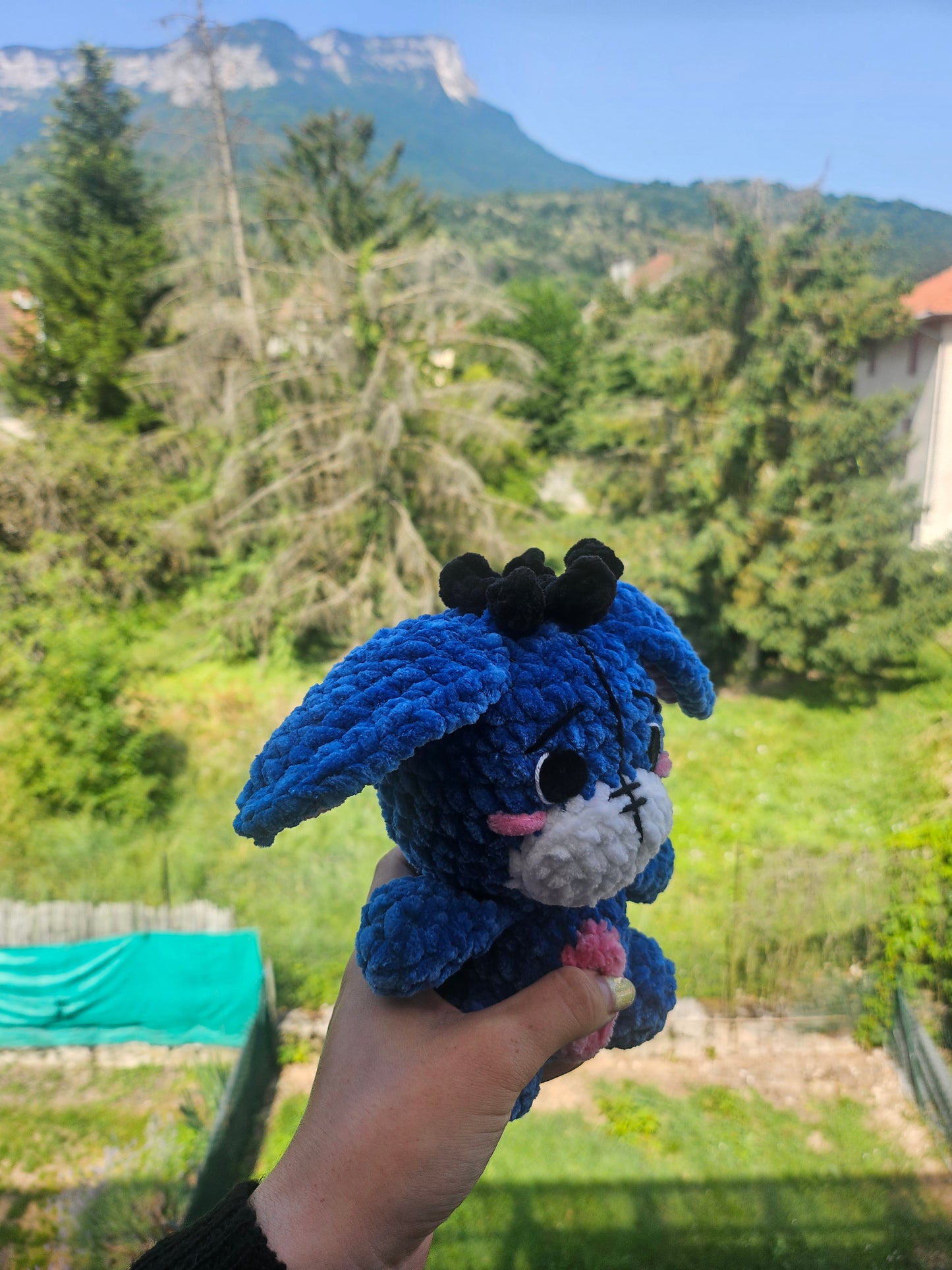 Petit bourriquetđź’™