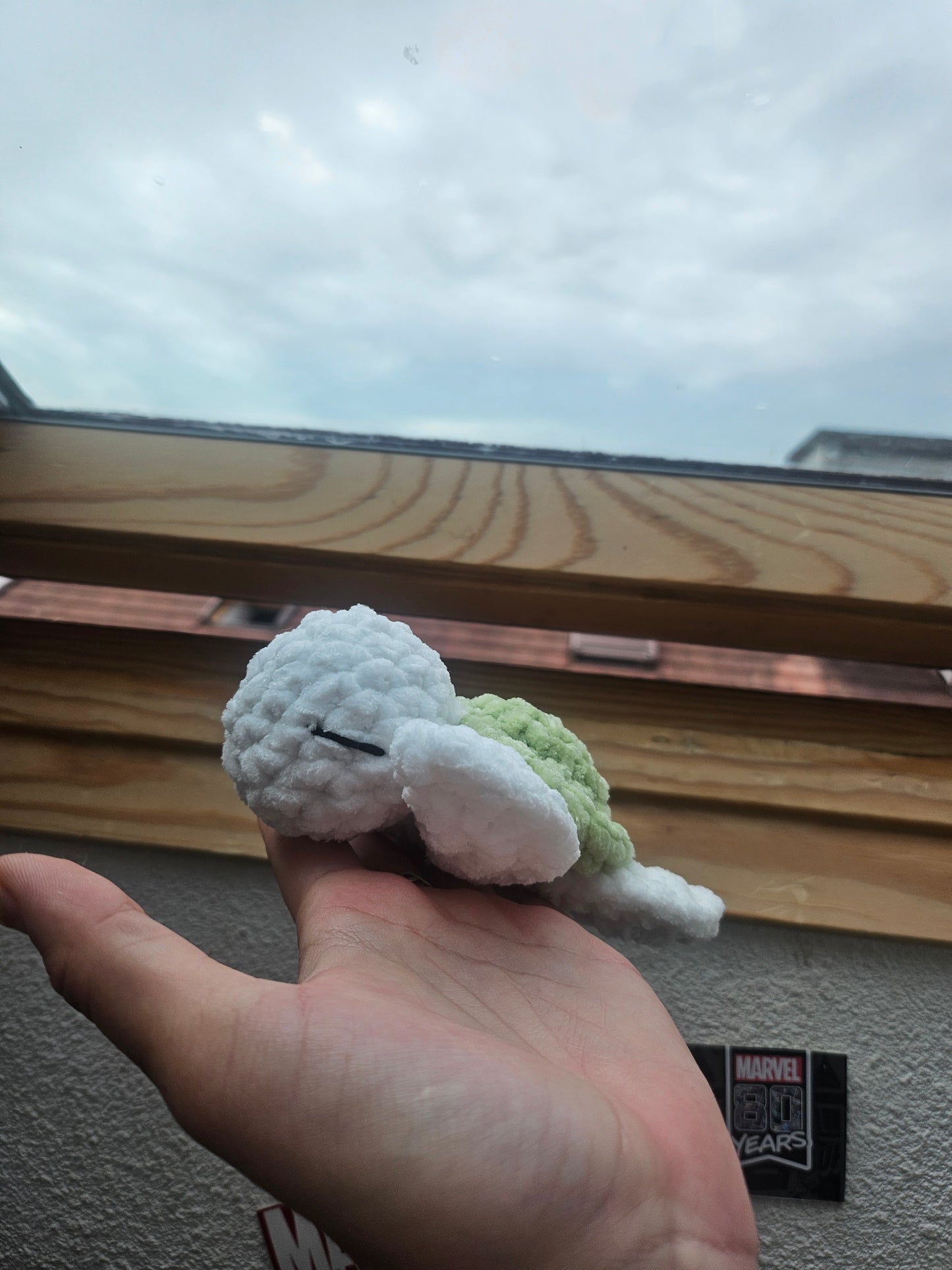 Baby tortueđź’š
