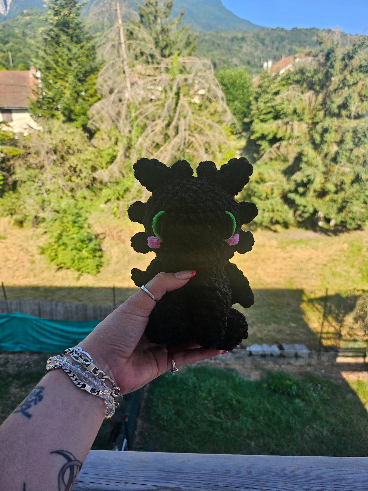Petit Krokmouđź–¤