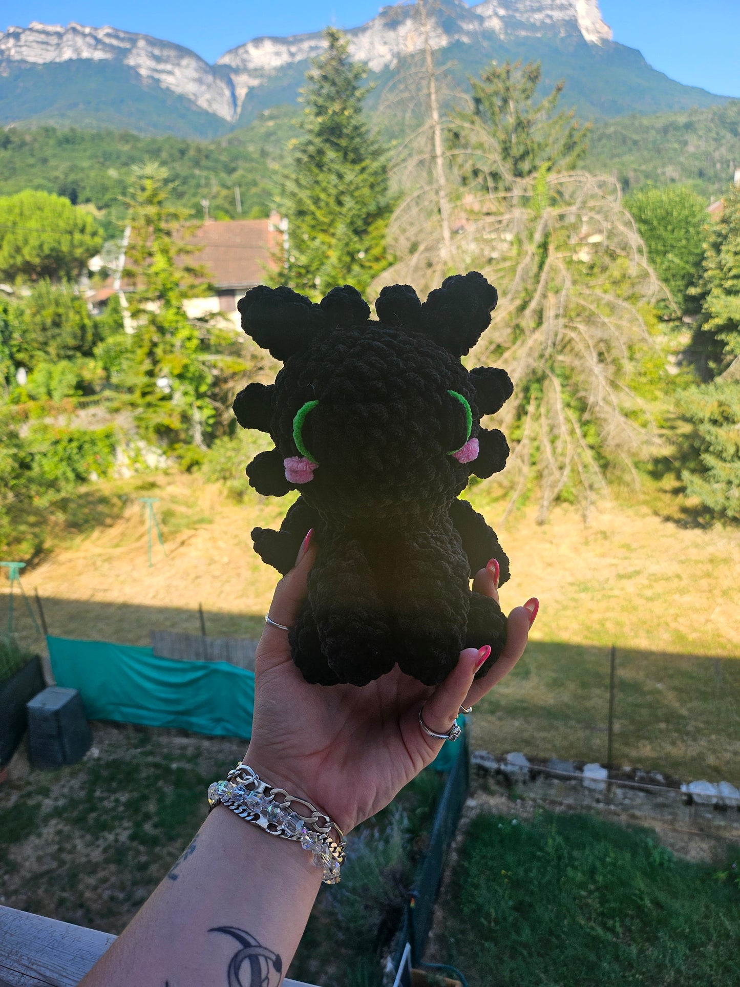 Petit Krokmouđź–¤