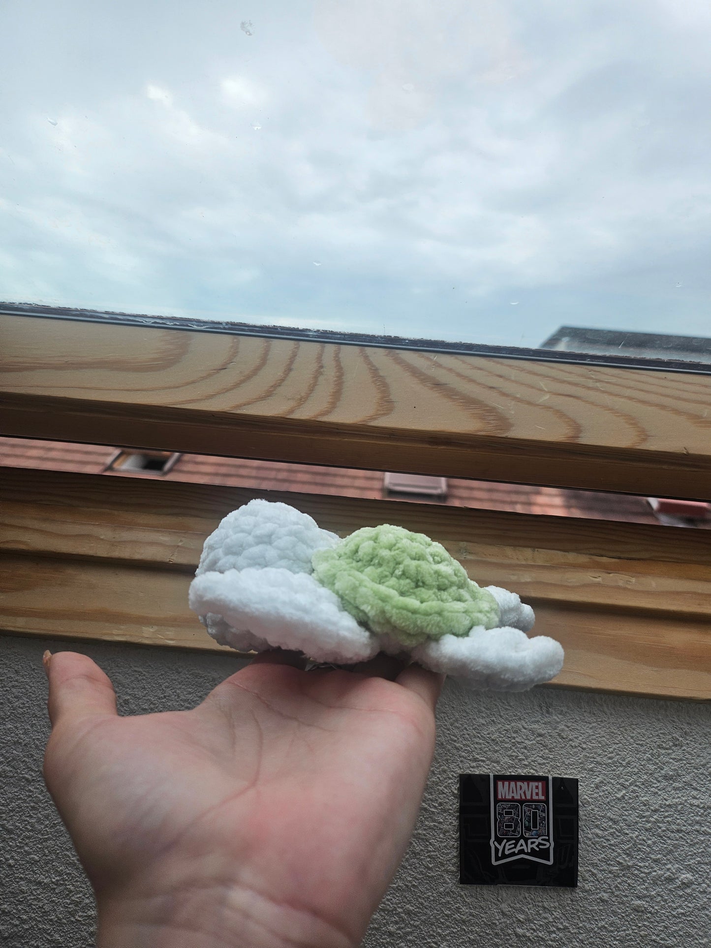 Baby tortueđź’š
