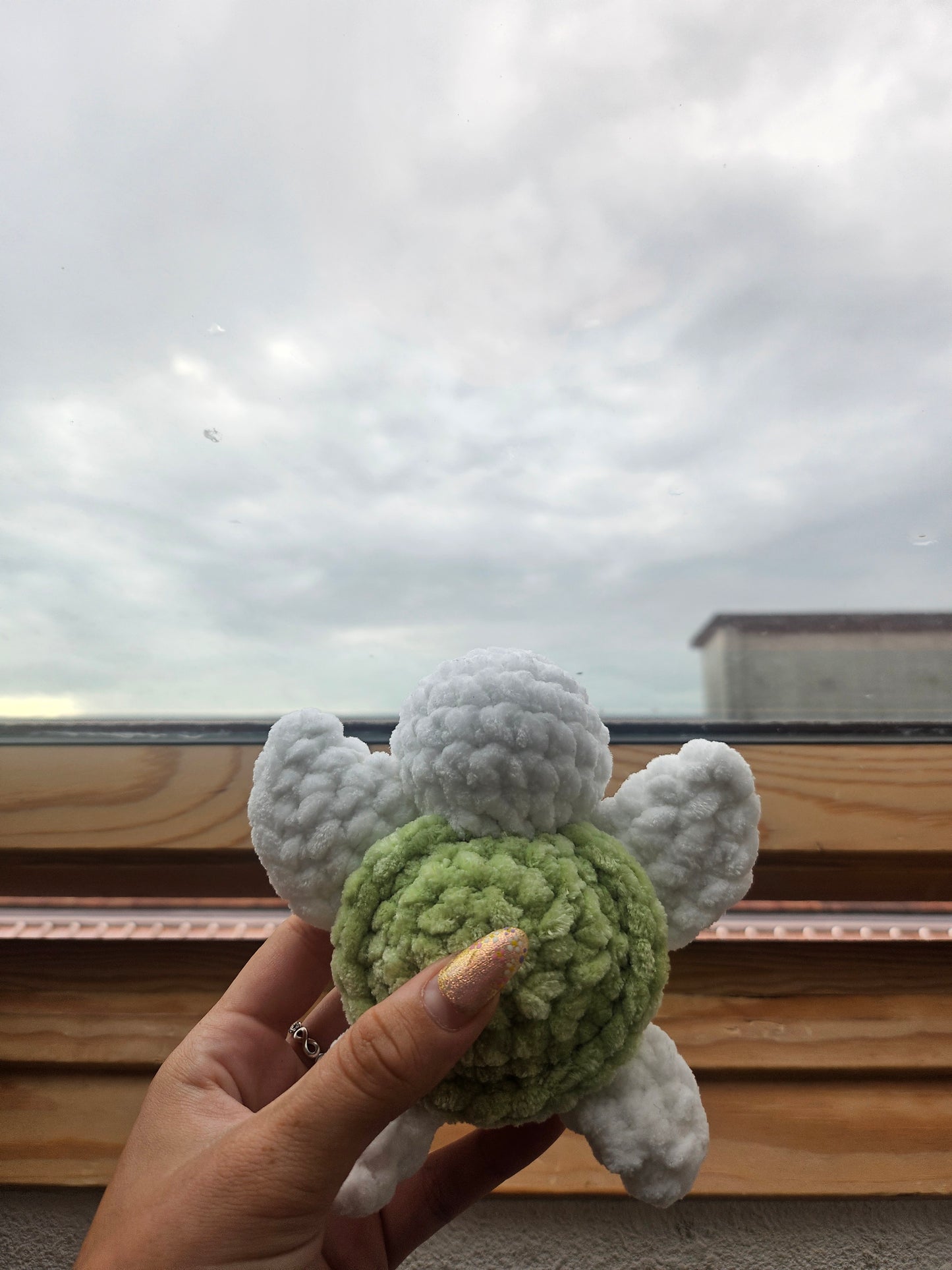 Baby tortueđź’š