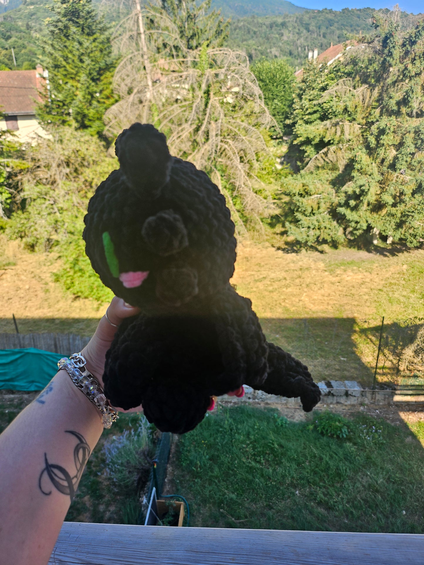 Petit Krokmouđź–¤