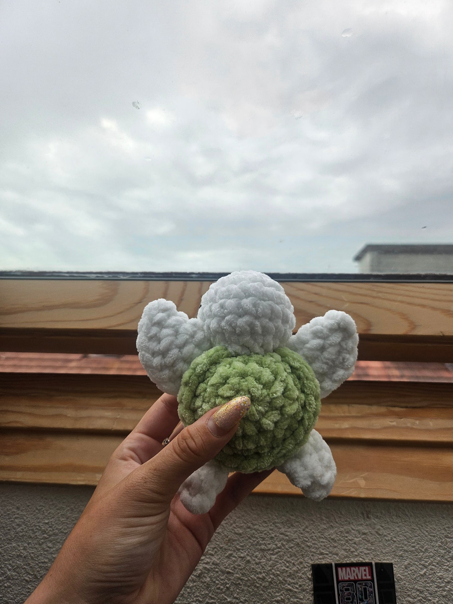 Baby tortueđź’š