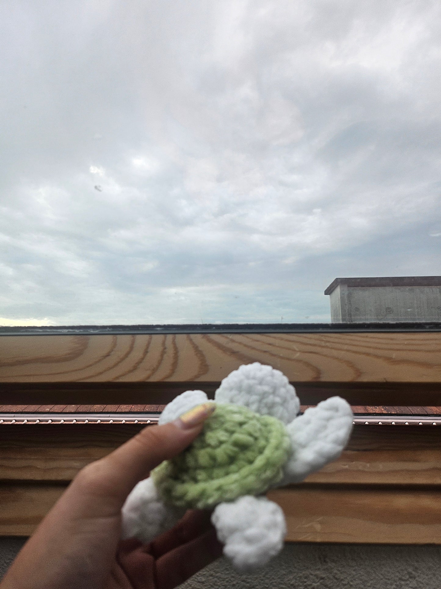 Baby tortueđź’š