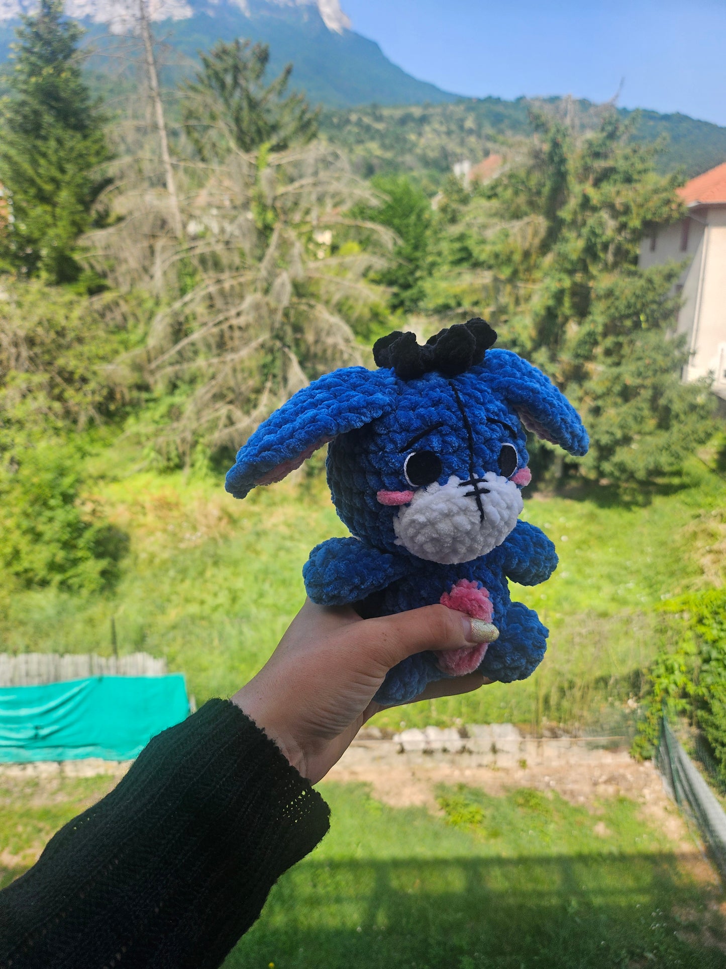 Petit bourriquet💙