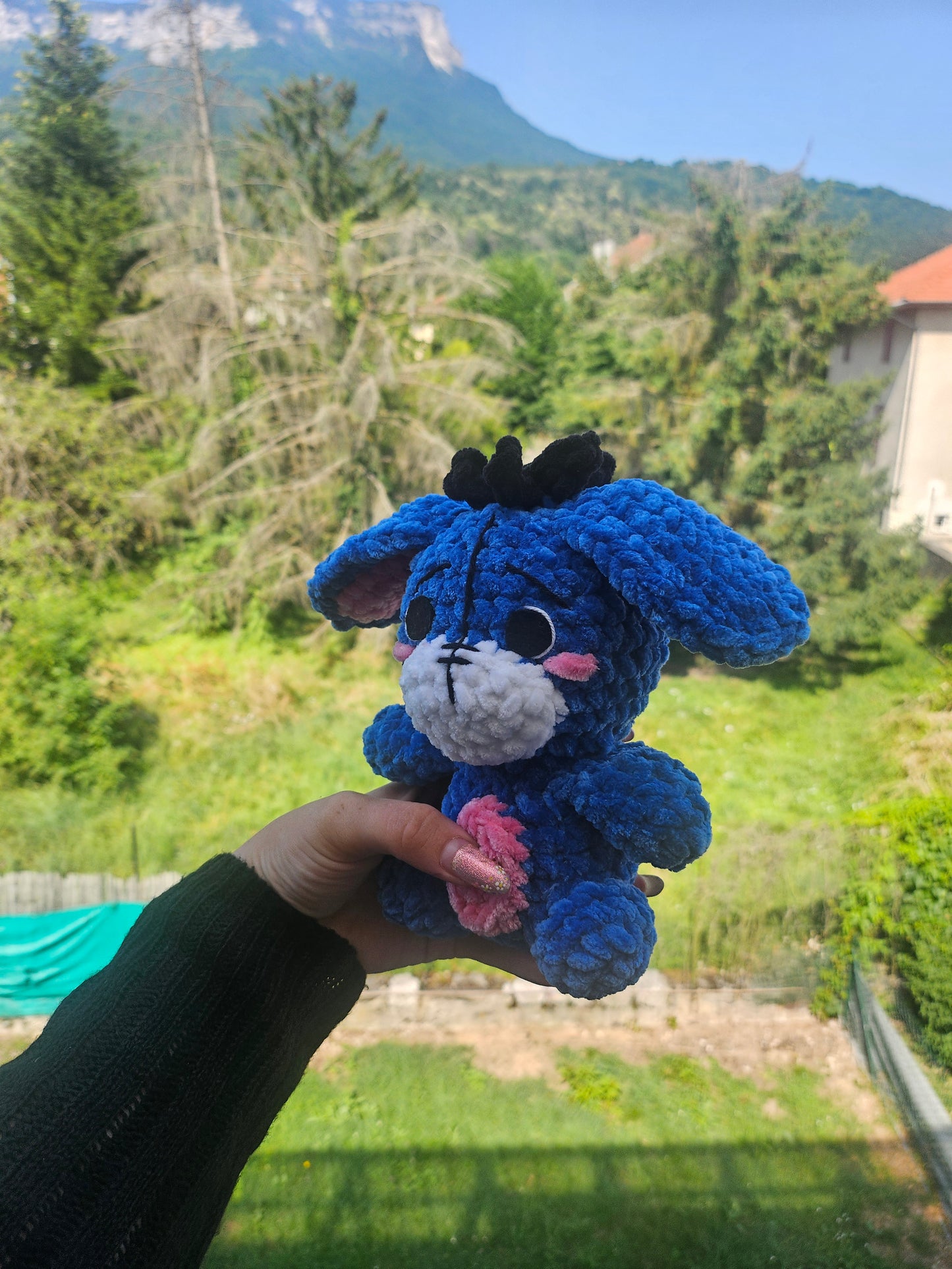 Petit bourriquet💙