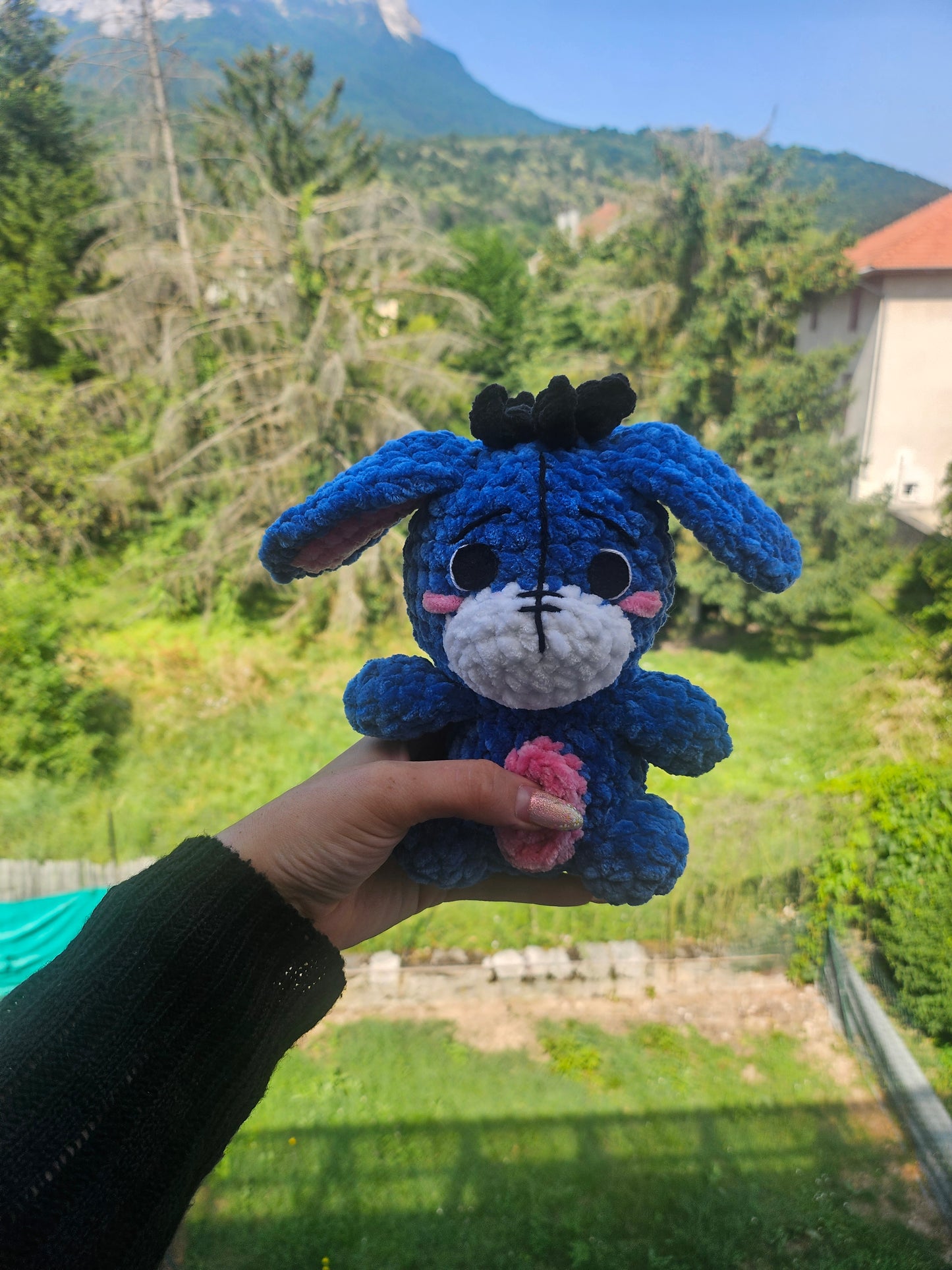Petit bourriquet💙