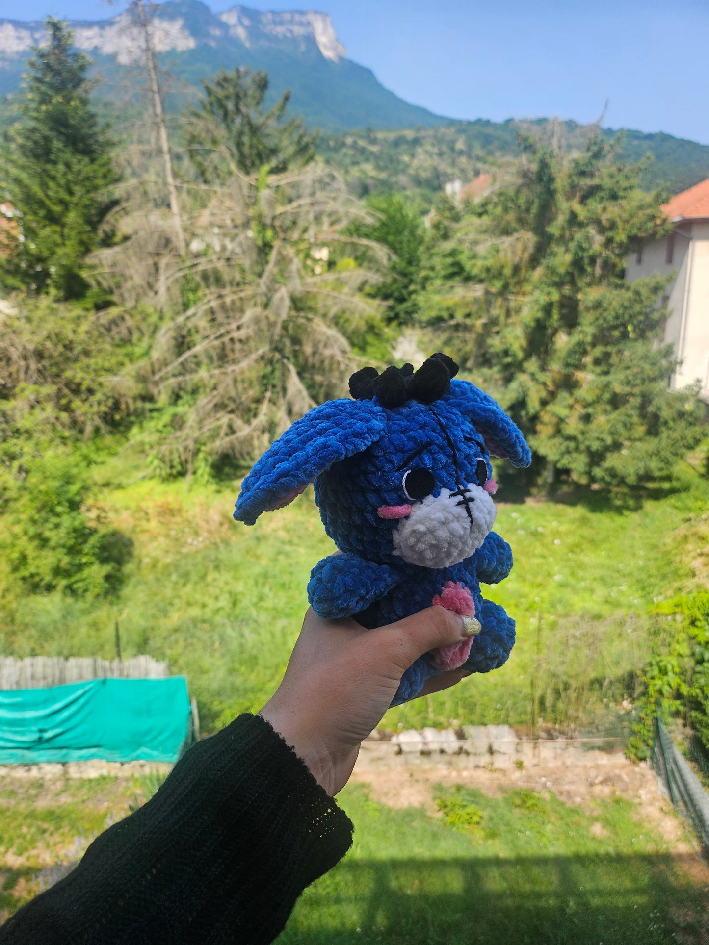 Petit bourriquet💙