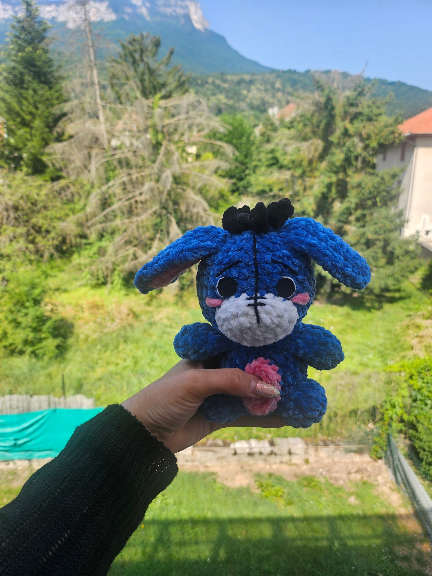 Petit bourriquet💙